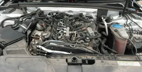 Article 5ZOQK