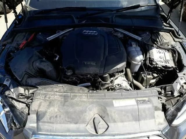 Article VW5EX
