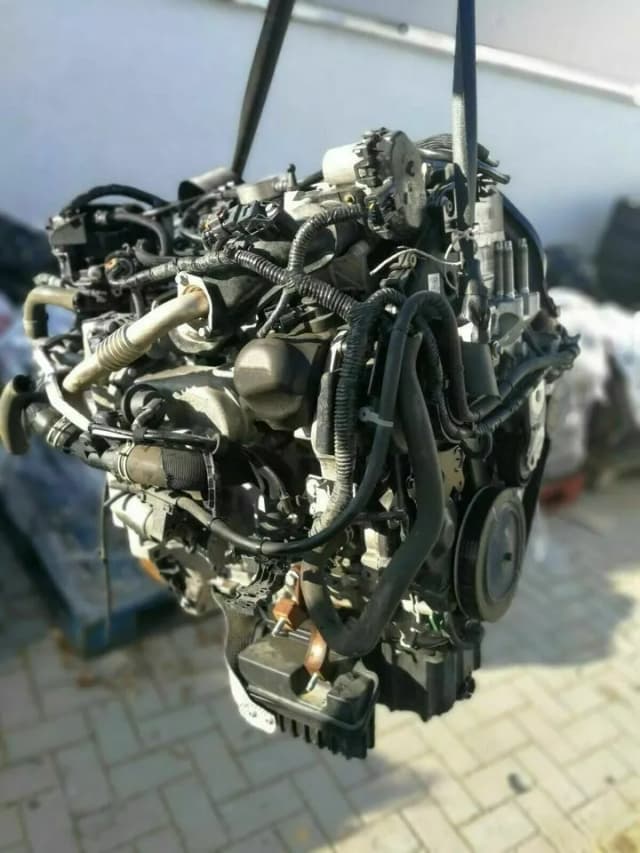 Article 6KV55