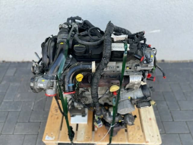 Article AAZG4