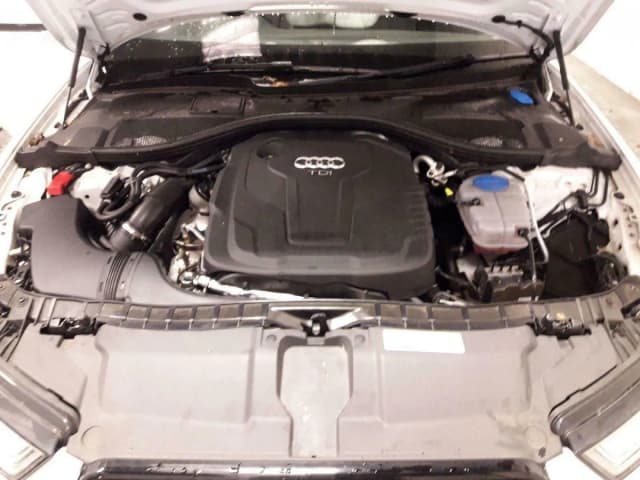 Article YX36M