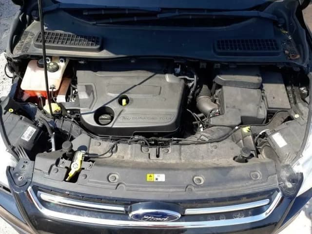 Article VW22W