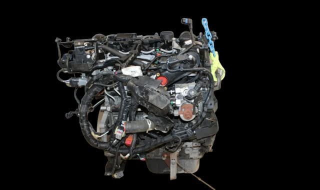 Article 4R95P