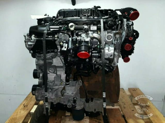 Article VW3W6