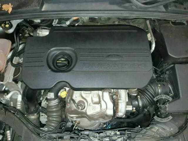 Article VWBER