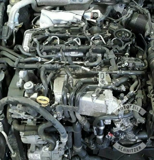 Article 2B2LB