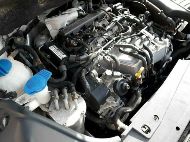 Article 5Z5R5