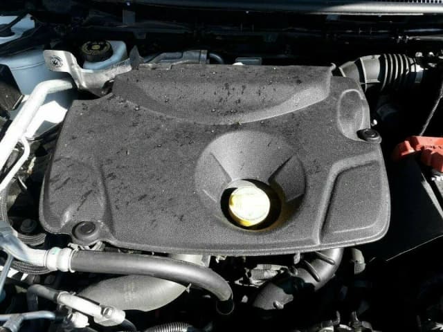 Article YX62M