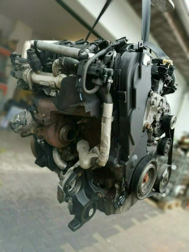 Article VW6D6