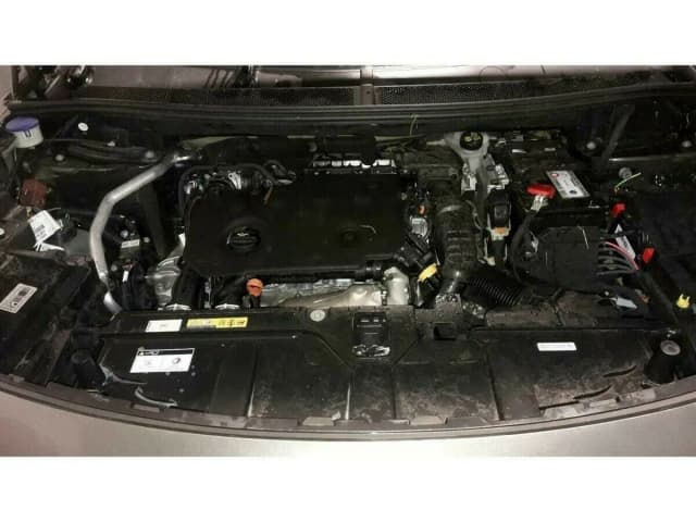 Article P5MPG