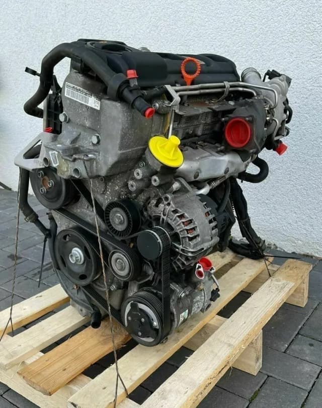 Article 5Z655