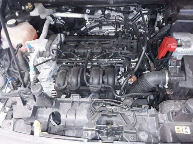 Article WDWRX
