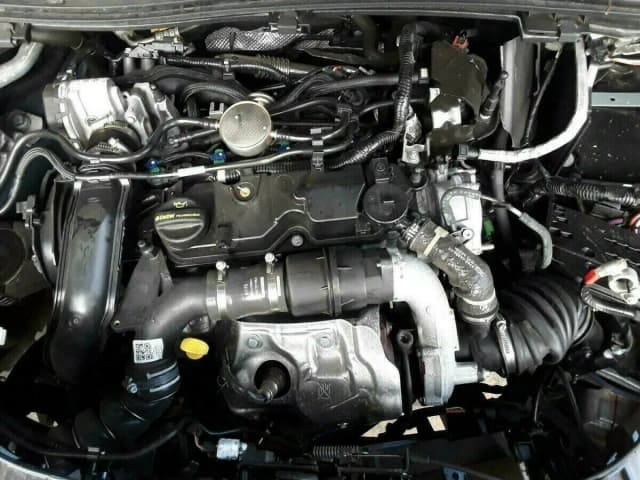Article DRD6M