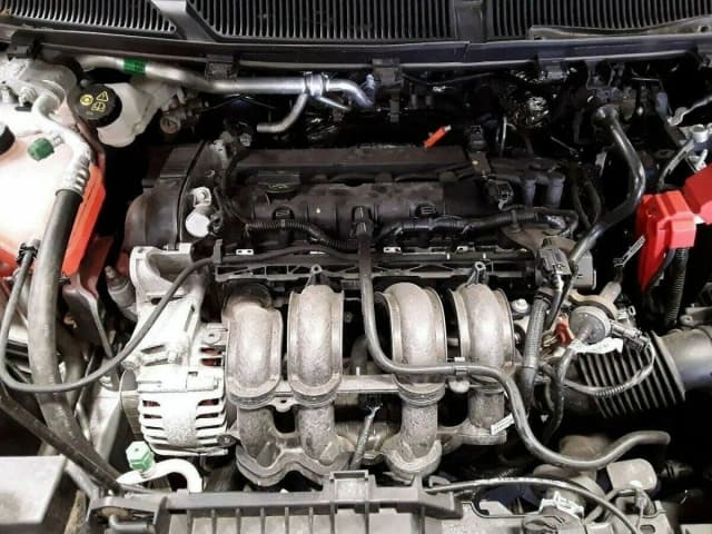 Article LYRV3