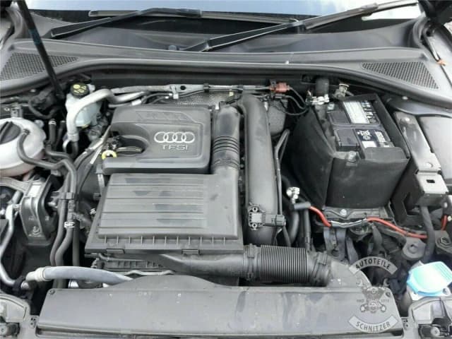 Article LYPGQ