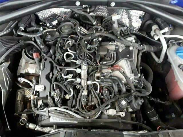 Article VW5Z6